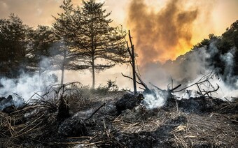 Оценка ущерба после стихийного бедствия в Саранске: отчет оценщика